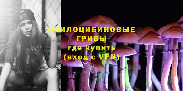 МДПВ Алзамай