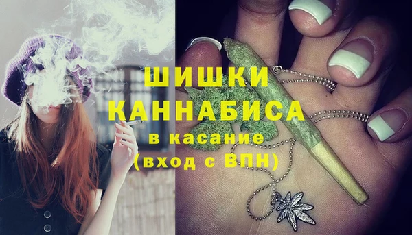 МДПВ Алзамай
