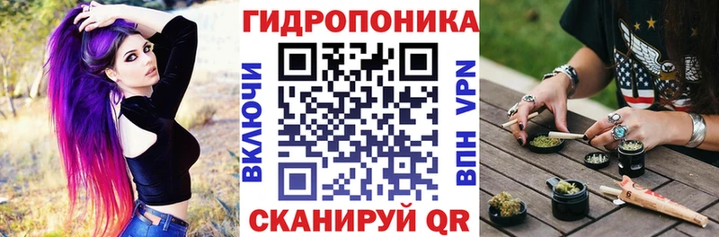 Бошки марихуана ГИДРОПОН  Александровское 